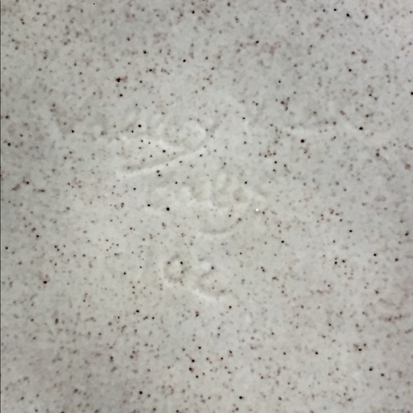 MCM Valley Vista California Server Red Floral Lid - Picture 4 of 9